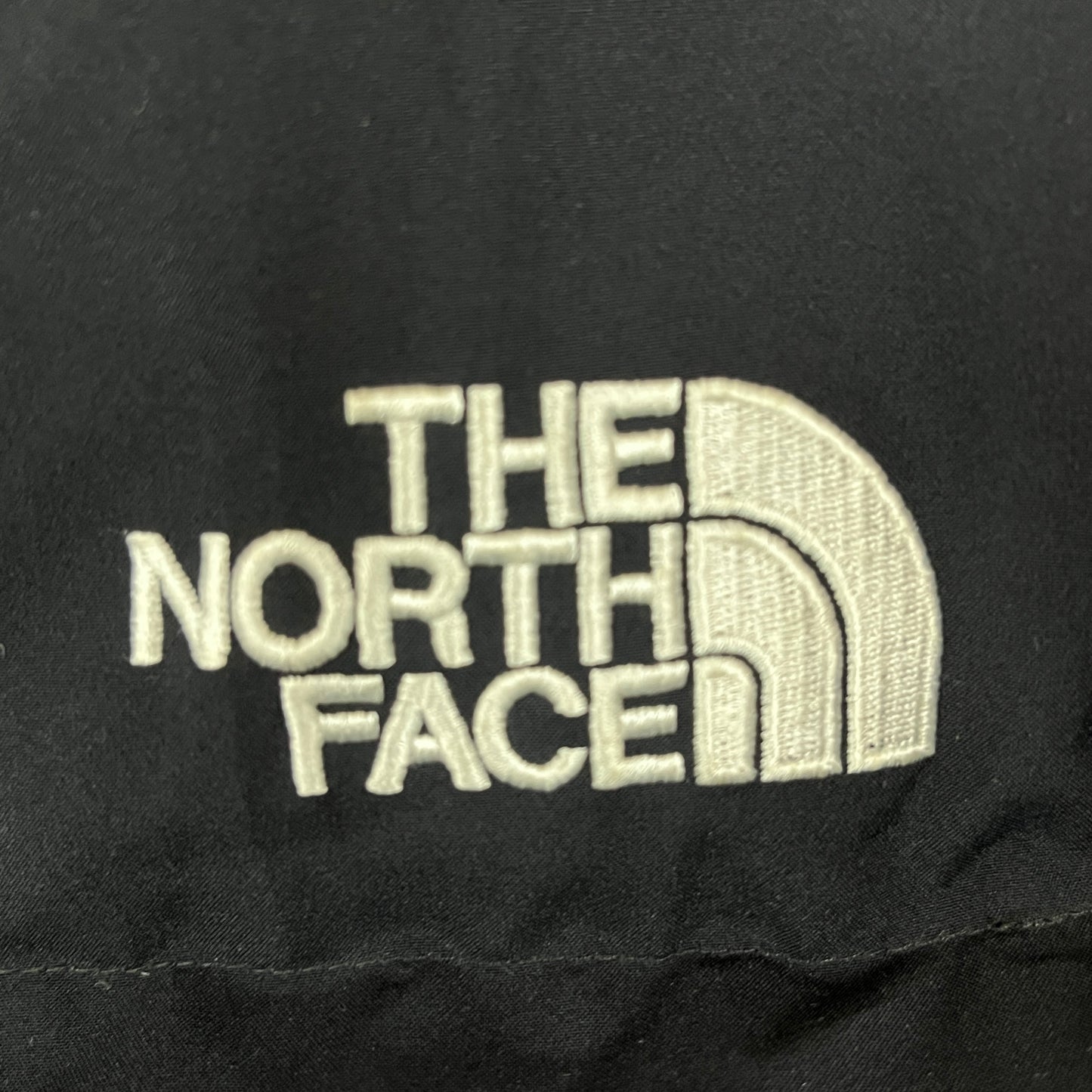 THE NORTH FACE(ザ・ノース・フェイス)DRYVENT ダウンジャケット ブラック メンズXL(105), フード一体型 RDS認証ダウン #29