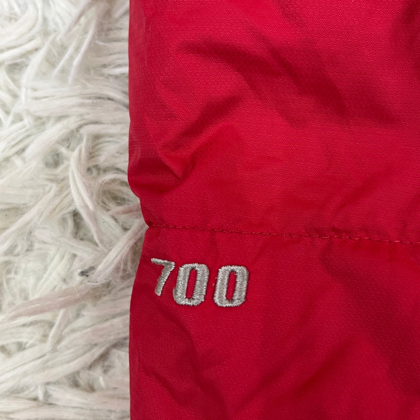 THE NORTH FACE（ザ・ノースフェイス）700フィル HYVENT ダウンジャケット レッド×ブラック レディースL（90）#44