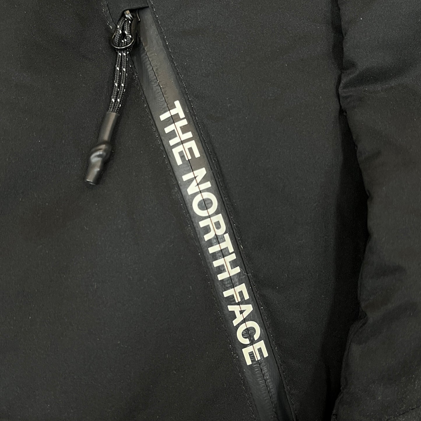 THE NORTH FACE ロングダウンコート ブラック メンズ L（100） Goose Down 保温 撥水仕様 #48