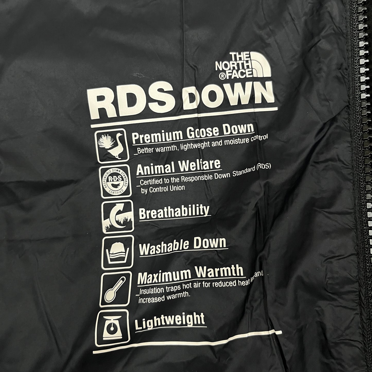 THE NORTH FACE ノースフェイス DRYVENT ロングダウンコート ブラック メンズ Lサイズ（100） RDSダウン フード付き #59