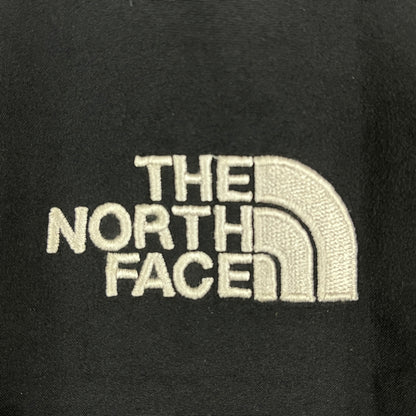THE NORTH FACE ゴアテックス マウンテンパーカー ブラック メンズXL（105サイズ）GORE-TEX 防水シェル #66
