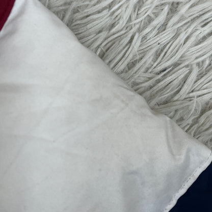 THE NORTH FACE ダウンジャケット DRYVENT キッズ120 ネイビー×レッド×ホワイト トリコロール ノースフェイス #81