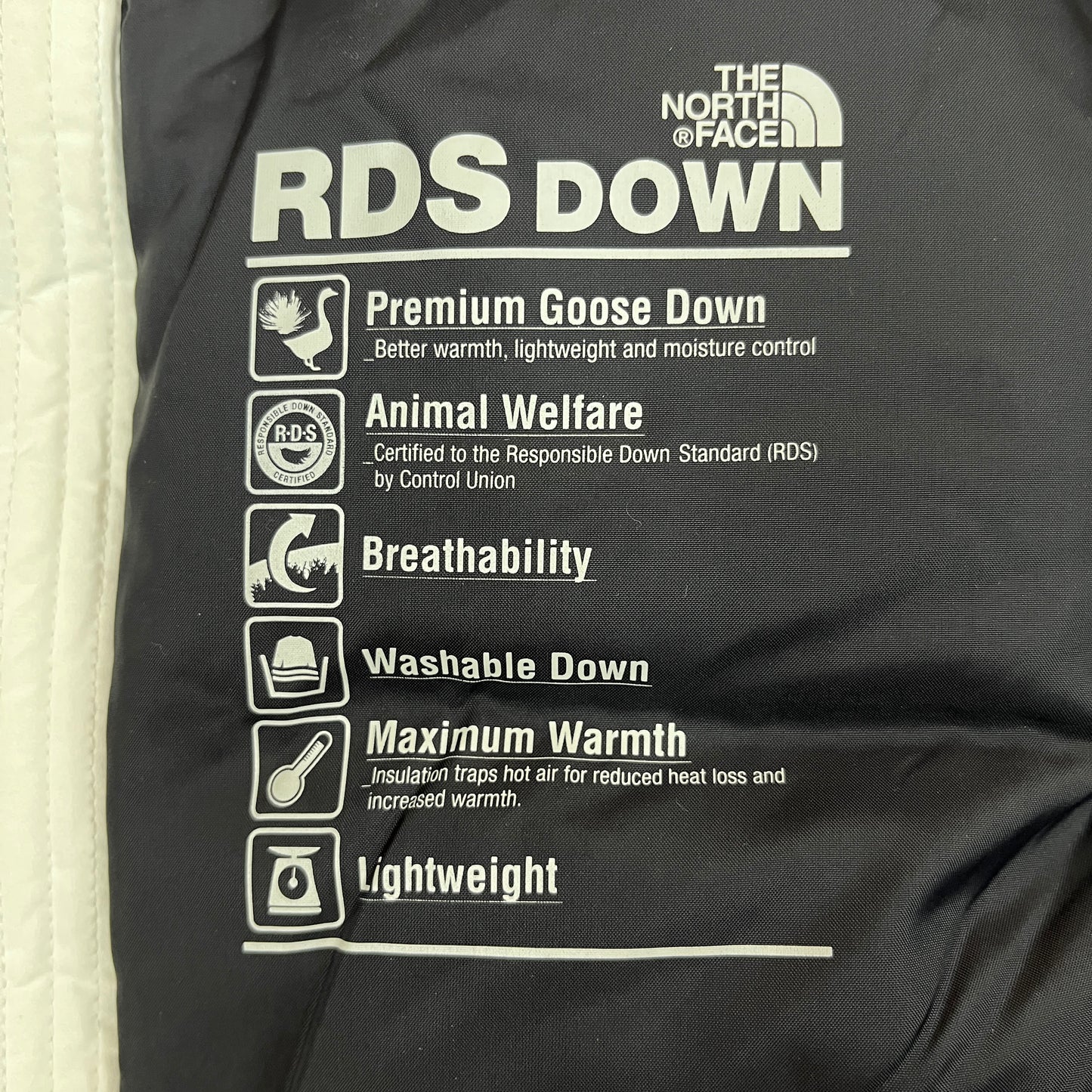 ノースフェイス THE NORTH FACE マクマード ダウンジャケット 160 キッズ ライトグレー×ブラック フード取外し可 DRYVENT #93