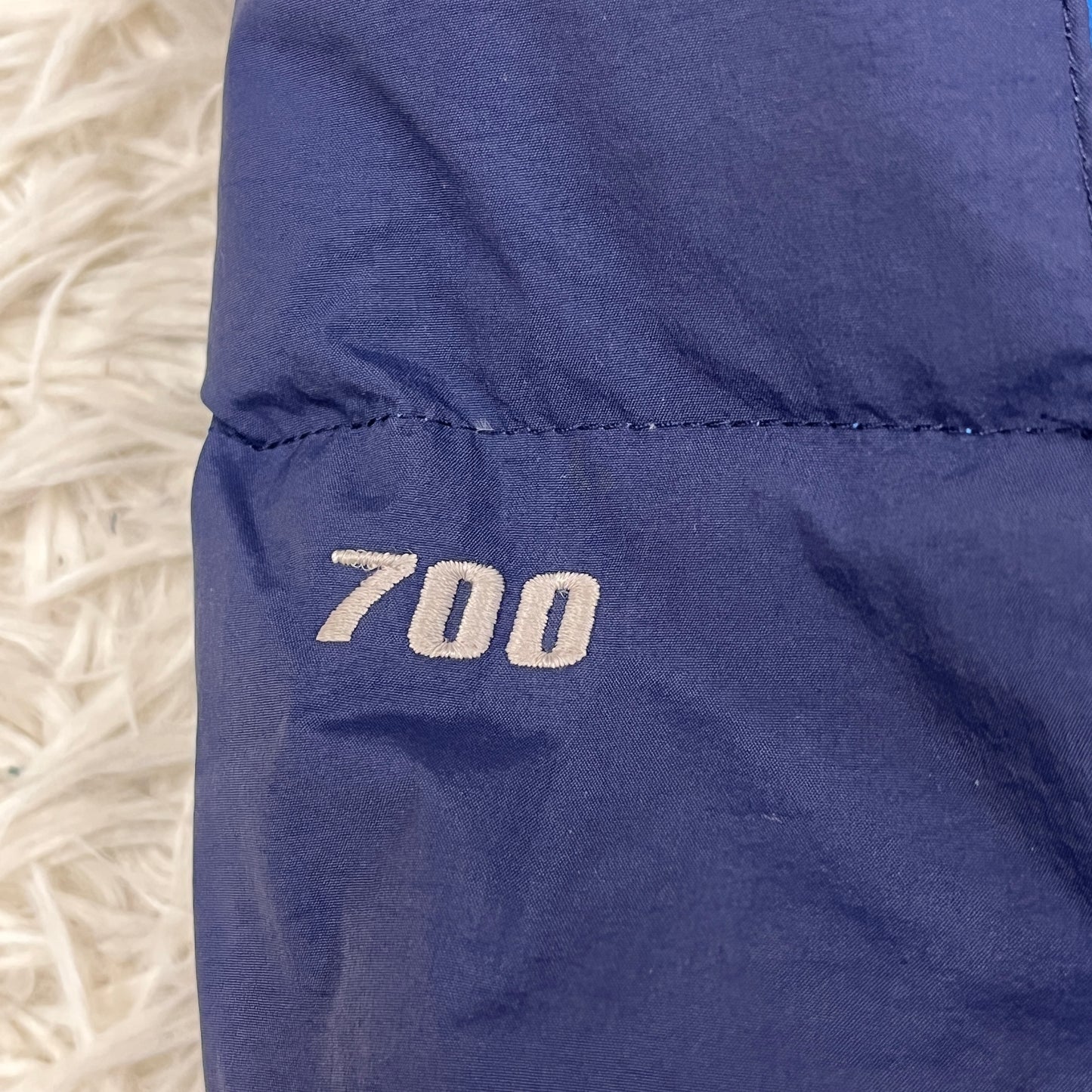 THE NORTH FACE ハイベント700 ダウンジャケット メンズ95(M) ブルー×ネイビー 700フィル フード着脱可 #94