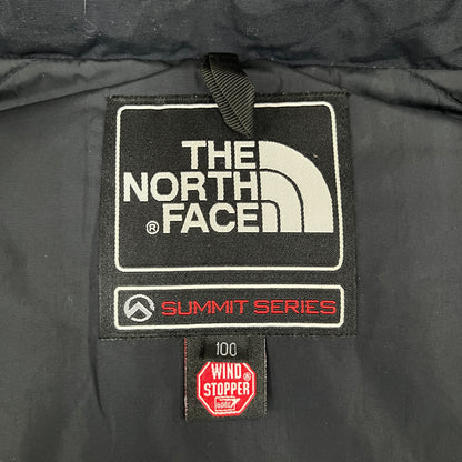THE NORTH FACE ザ ノースフェイス バルトロ サミットシリーズ ダウンジャケット 700フィル WINDSTOPPER メンズL（100） ボルドー×ブラック #126