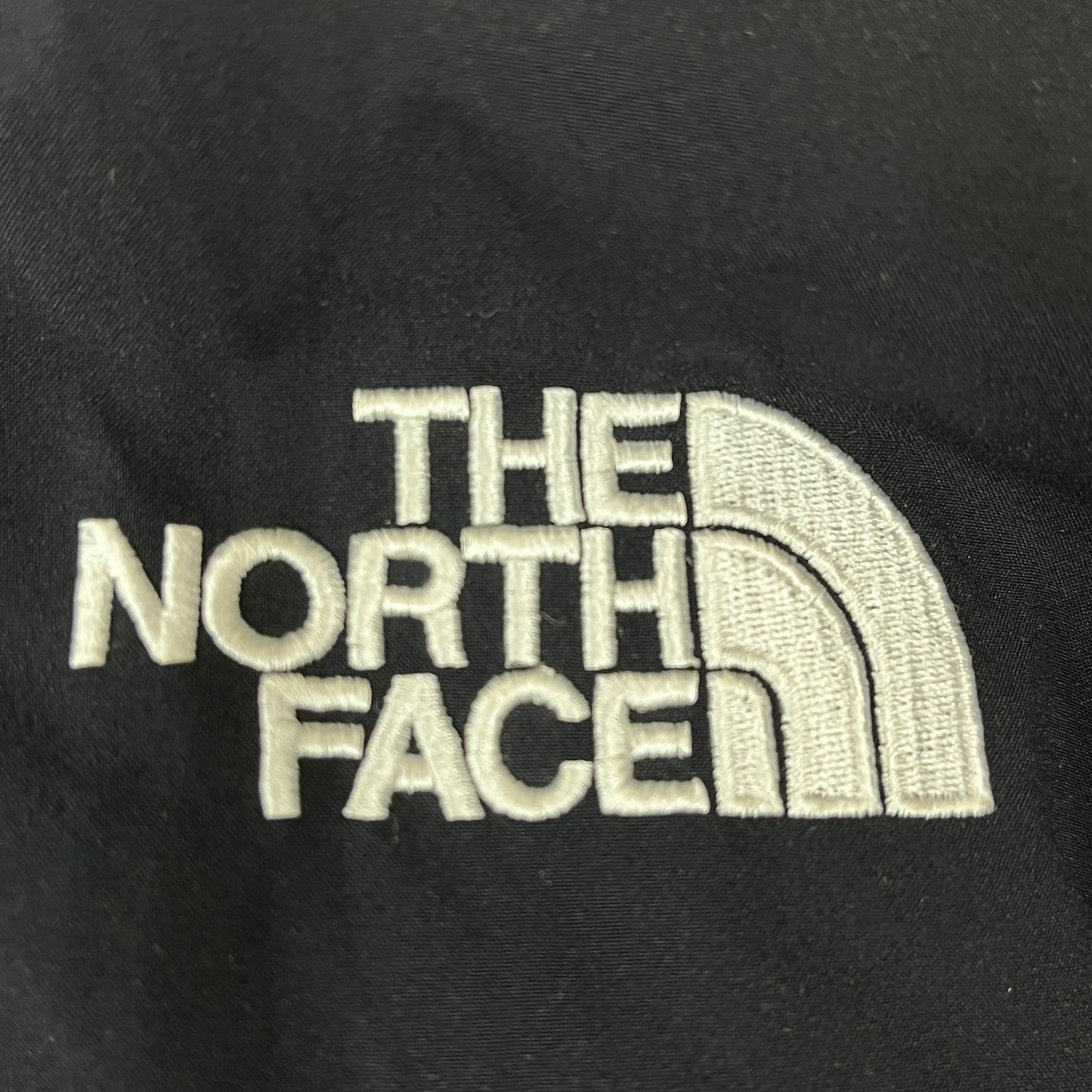 THE NORTH FACE（ザ・ノース・フェイス）DRYVENT ダウンジャケット ブラック メンズXL(105), フード一体型 RDS認証ダウン #29