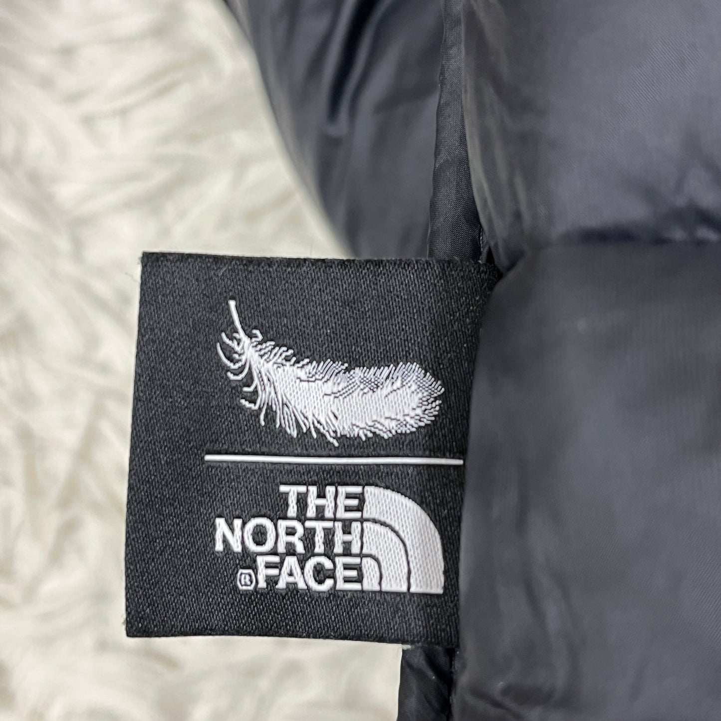 THE NORTH FACE（ザ・ノース・フェイス）DRYVENT ダウンジャケット ブラック メンズXL(105), フード一体型 RDS認証ダウン #29