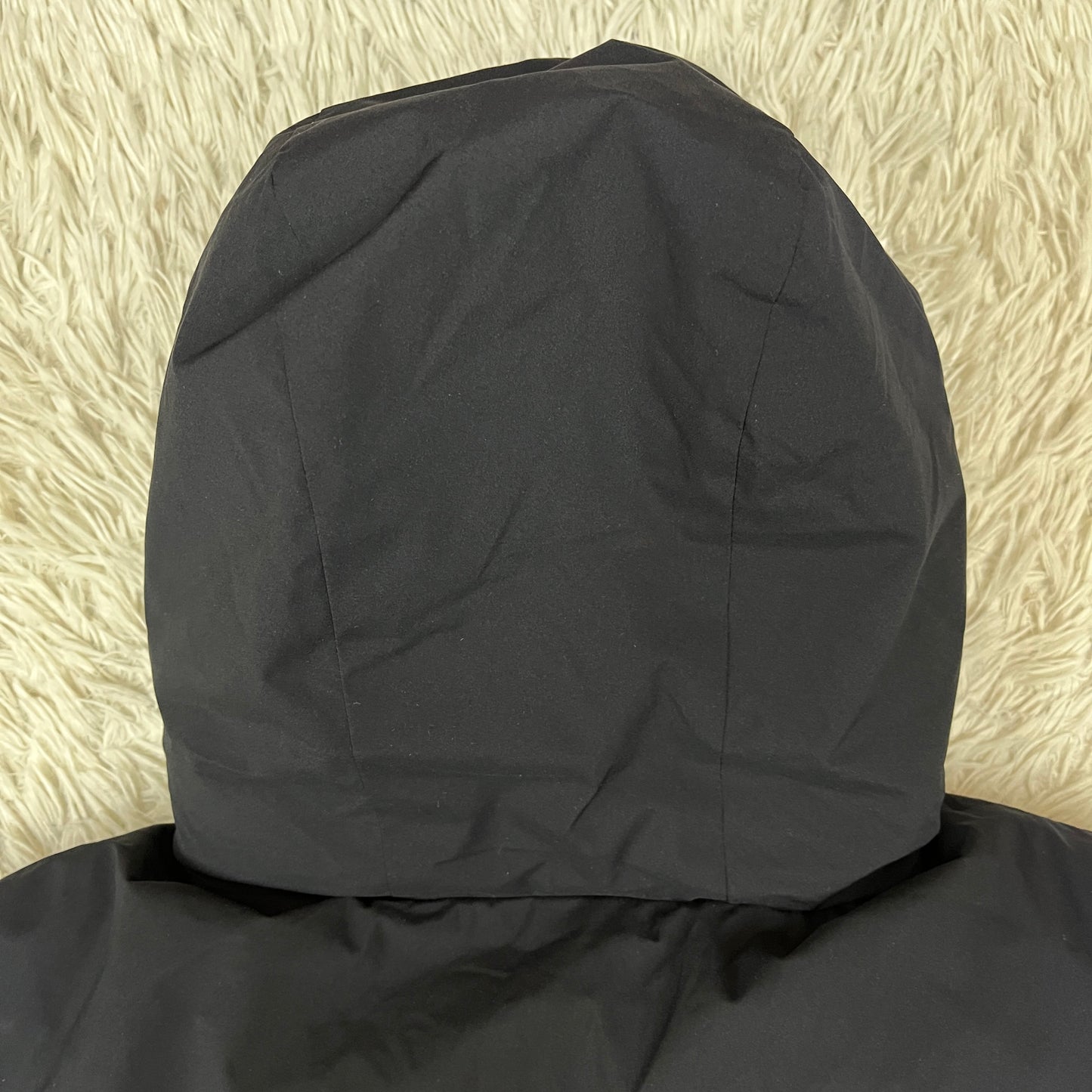 THE NORTH FACE（ザ・ノース・フェイス）DRYVENT ダウンジャケット ブラック メンズXL(105), フード一体型 RDS認証ダウン #29