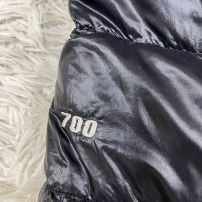 THE NORTH FACE ザ・ノースフェイス アルパインヌプシ フーディ ブラック メンズL 700フィル ダウンジャケット フード着脱可 #38